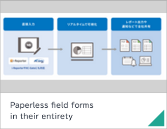 Paperless field forms in their entirety