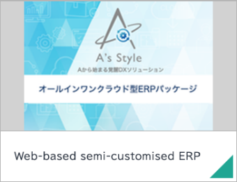 Web-based semi-customised ERP