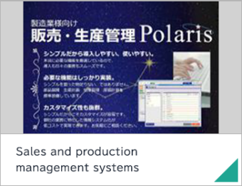 Sales and production management systems