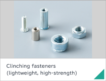 Clinching fasteners (lightweight, high-strength)
